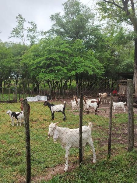Casa rodeada de naturaleza, Забронировать  Benjamín Aceval Парагвай