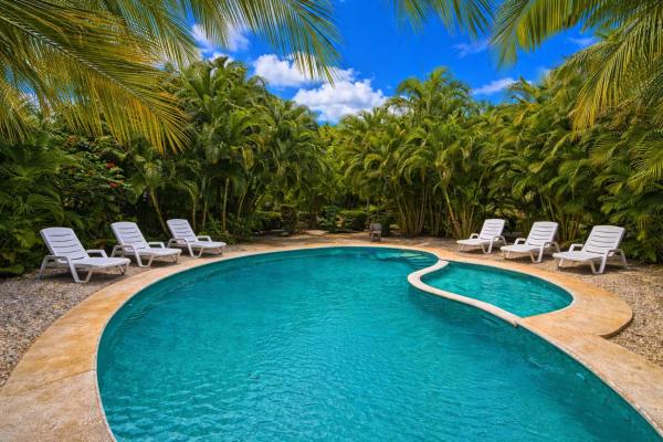 Jungle Oasis Tamarindo, Забронировать  Отели Garita с бассейном, Бассейн