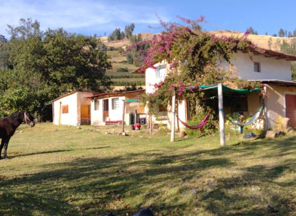 Shendao Eco Salud, Забронировать  Huaripampa Ancash