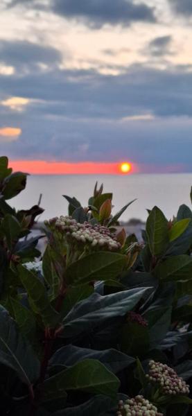Sea-Nature-Wellness, Забронировать  Колимбия остров Родос