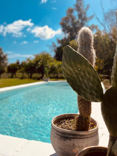 Finca W - Coín - Málaga - Andalucía, Забронировать  Отели провинции Малаги с бассейном, Бассейн