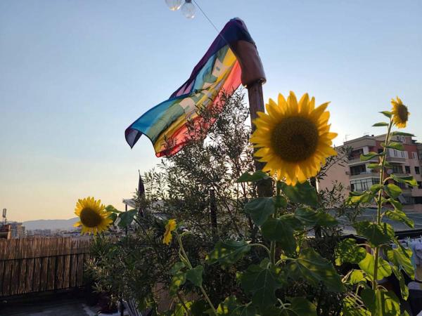 Roof Top Hostel, Забронировать  Тирана область Тирана