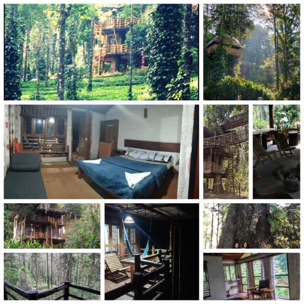 Munnar Tree house and Farm, Забронировать  Отели штата Кералы с парковкой, Парковка