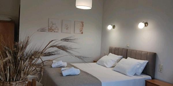 ZOGRAFOS SPIROS Rooms