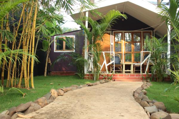 Sea Shades Палолем