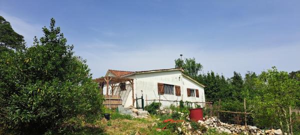 Casa Clementina Guest house
