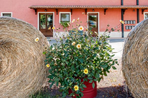 Agriturismo La Meridiana