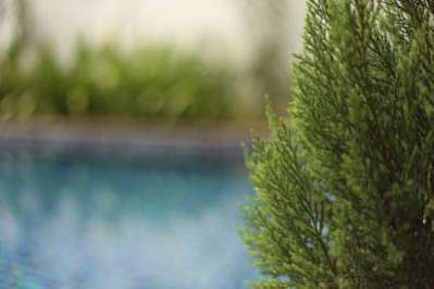 Villa Cambell Hotel & Cafe
