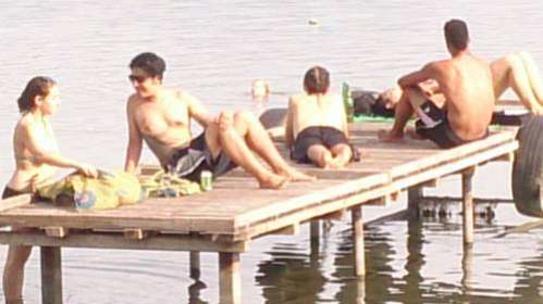 Wildwin Resort - Hostel