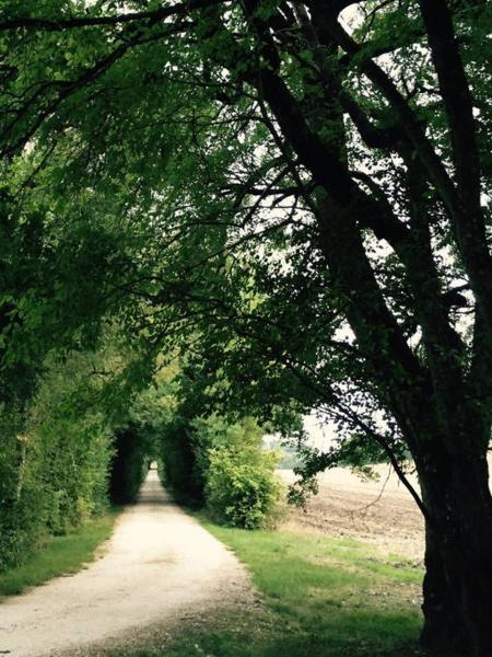 Domaine Le Rolant, Забронировать Апартаменты/квартира Montaut 