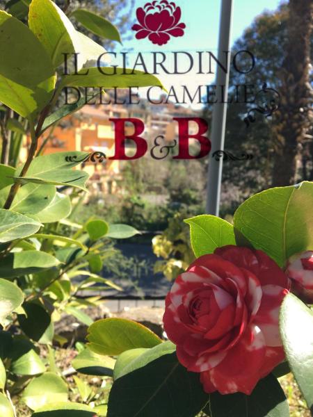 Il Giardino Delle Camelie BB