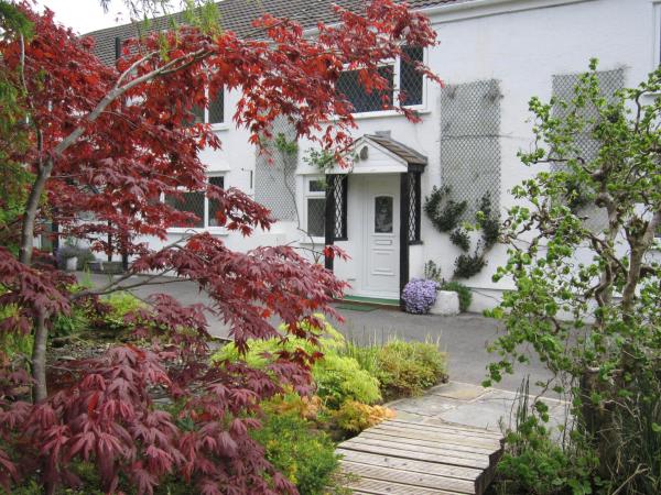 Cwmbach Guest House