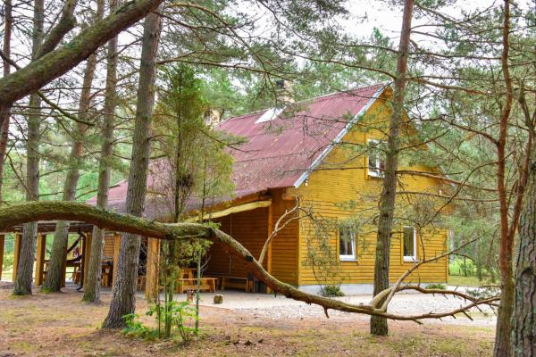 Kempings Videnieki