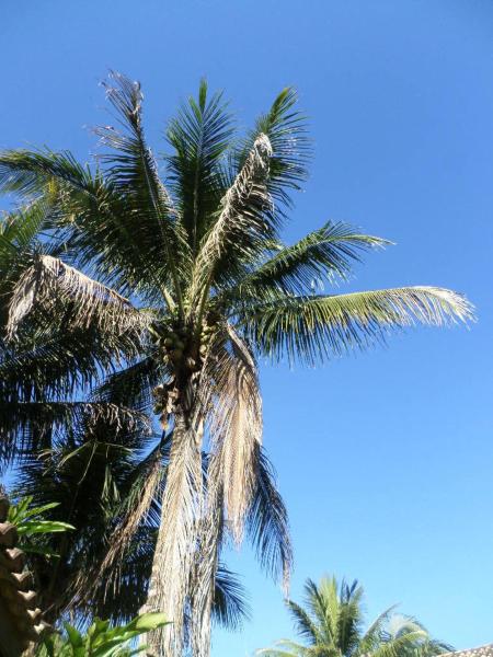 Pousada Luamar