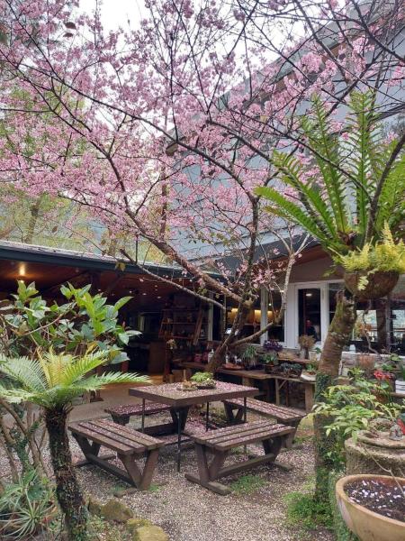 Alishan Lauya Homestay